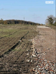 ��������� ������ ³�������, ³�����, ���������, ����-�����������, ������������� ���� 2