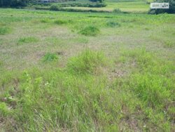 ��������� ������ ³�������, ³�����, ���������, ����-����������� ���� 3