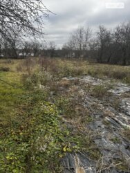 ��������� ������ ³�������, ³�����, ���������, ����-�����������, �����. ��� ������� ���� 5