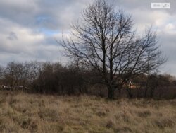 Продається ділянка Вінницька, Вінниця, Передмістя, Хижинці, Партизанська фото 1 Продається ділянка Вінницька, Вінниця, Передмістя, Хижинці, Партизанська фото 1