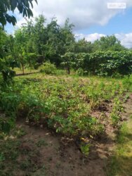 ��������� ������ ³�������, ³�����, ���������, ������ ���� 3