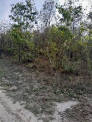 ��������� ������ ³�������, ³�����, ���������, ����-����������� ���� 3