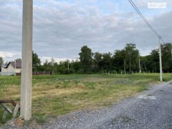 ��������� ������ ³�������, ³�����, ����������, ����������, ������� �������� ���� 4