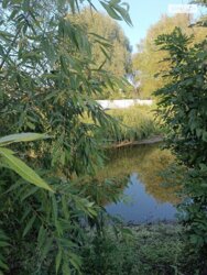 ��������� ������ ³�������, ³�����, ���������, ����-����������� ���� 4