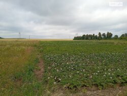 ��������� ������ ³�������, ³�����, ��������� ���� 1