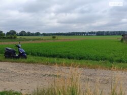 ��������� ������ ³�������, ³�����, ��������� ���� 4