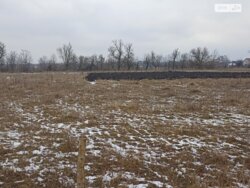 ��������� ������ ³�������, ³�����, ���������, ����������, ���������� ���� 1