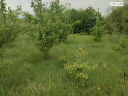 ��������� ������ ³�������, ³�����, ���������, ��������, ������ ���� 3