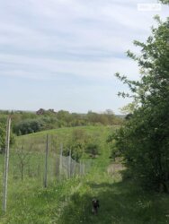   ³, ³, , , 7- .    5