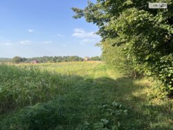 ��������� ������ ³�������, ³�����, ���������, ��������� ���� 4