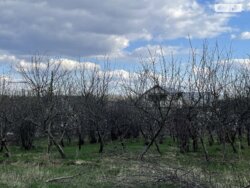 ��������� ������ ³�������, ³�����, ���������, ����-����������� ���� 1