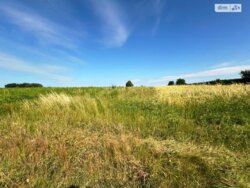 ��������� ������ ³�������, ³�����, ���������, ��������� ���� 1