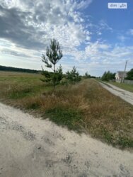 ��������� ������ ³�������, ³�����, ��������� ���� 2