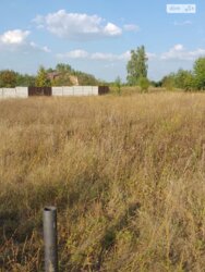 ��������� ������ ³�������, ³�����, ��������� ���� 5