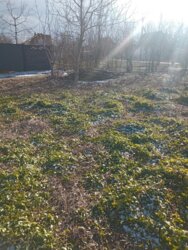 ��������� ������ ³�������, ³�����, ���������, ٳ���, ���. ����������� ���� 5