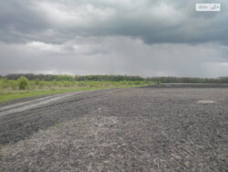 ��������� ������ ³�������, ³�����, ��������� ���� 2