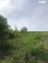   ³, ³, , , 7- .    4