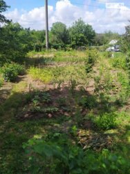 ��������� ������ ³�������, ³�����, ���������, ������ ���� 2