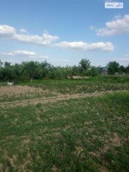 ��������� ������ ³�������, ³�����, ���������, �������� ���� 1