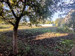 ��������� ������ ³�������, ³�����, ����������, �������� ���� 3