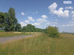 ��������� ������ ³�������, ³�����, ��������� ���� 2