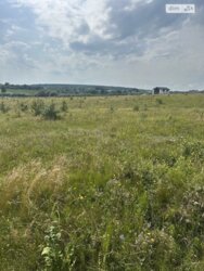 ��������� ������ ³�������, ³�����, ��������� ���� 4