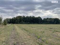 ��������� ������ ³�������, ³�����, �������������, ³�����-�������� ���� 4