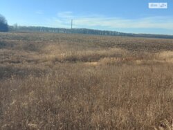 ��������� ������ ³�������, ³�����, ���������, �������� ���� 2