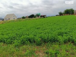 ��������� ������ ³�������, ³�����, ��������� ���� 5