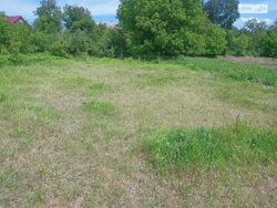 ��������� ������ ³�������, ³�����, ���������, ����-����������� ���� 4