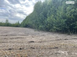 ��������� ������ ³�������, ³����� ���� 5