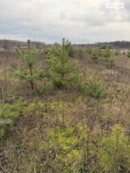 ��������� ������ ³�������, ³�����, �����������, ����� ����, ��������� ������ ���� 4