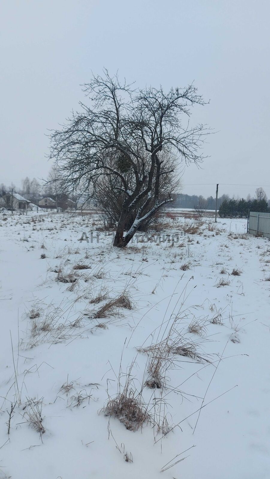 Продається земельна ділянка в центі с. Садки 35 сот. фото 1 Продається земельна ділянка в центі с. Садки 35 сот. фото 1
