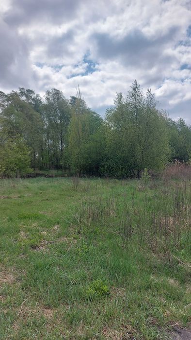 Продається земельна ділянка в с. Зарічани. фото 1 Продається земельна ділянка в с. Зарічани. фото 1