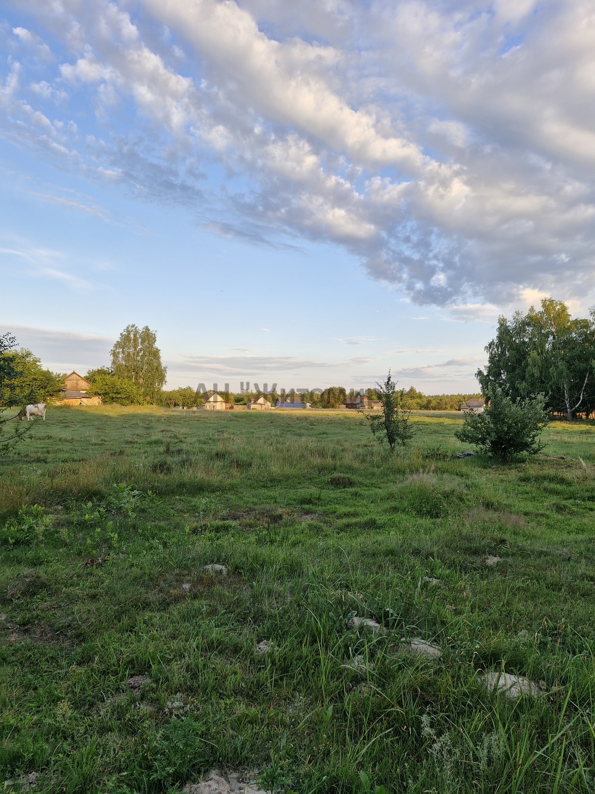 Продається земельна ділянка в самому центрі с. Садки фото 1 Продається земельна ділянка в самому центрі с. Садки фото 1