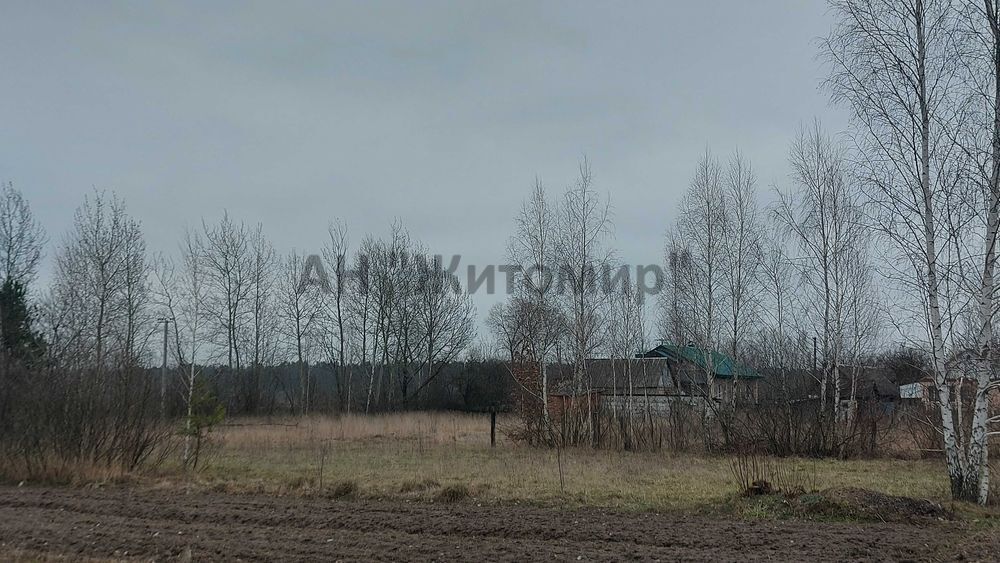 Продається земельна ділянка в с. Іванівка фото 1 Продається земельна ділянка в с. Іванівка фото 1