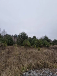 ��������� �������� ������ � ��������. ���� 1