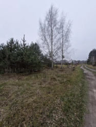 ��������� �������� ������ � ��������. ���� 4