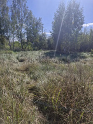 Продається ділянка Іванівка, Житомирський, Житомирська фото 4 Продається ділянка Іванівка, Житомирський, Житомирська фото 4