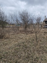 Продається ділянка Сонячне, Житомирський, Житомирська фото 2 Продається ділянка Сонячне, Житомирський, Житомирська фото 2