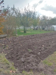 ������ �������� ������ �.��������. ���� 8