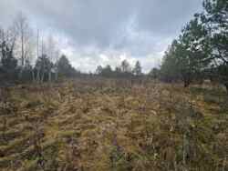 ��������� ������ �����������, ������� ���� 1