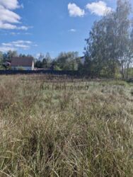 Продається ділянка Іванівка, Житомирський, Житомирська фото 2 Продається ділянка Іванівка, Житомирський, Житомирська фото 2