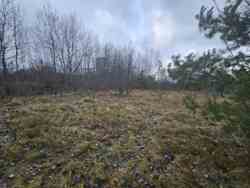 ��������� ������ �����������, ������� ���� 2