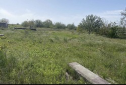 ��������� ������ ����������� (���������), ����������� (���������), ������� ���� 5