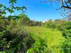 � ������� �������� ������ ��� ����! ���� 2