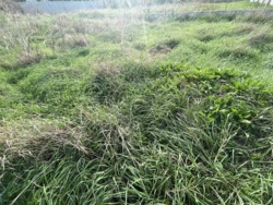 Продається ділянка Чорноморськ (Іллічівськ), Чорноморськ (Іллічівськ), Одеська фото 4 Продається ділянка Чорноморськ (Іллічівськ), Чорноморськ (Іллічівськ), Одеська фото 4