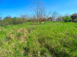 У продажу хороша ділянка на Ветерані! фото 3 У продажу хороша ділянка на Ветерані! фото 3