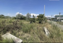 ��������� ������ ����������� (���������), ����������� (���������), ������� ���� 1