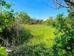 � ������� �������� ������ ��� ����! ���� 4